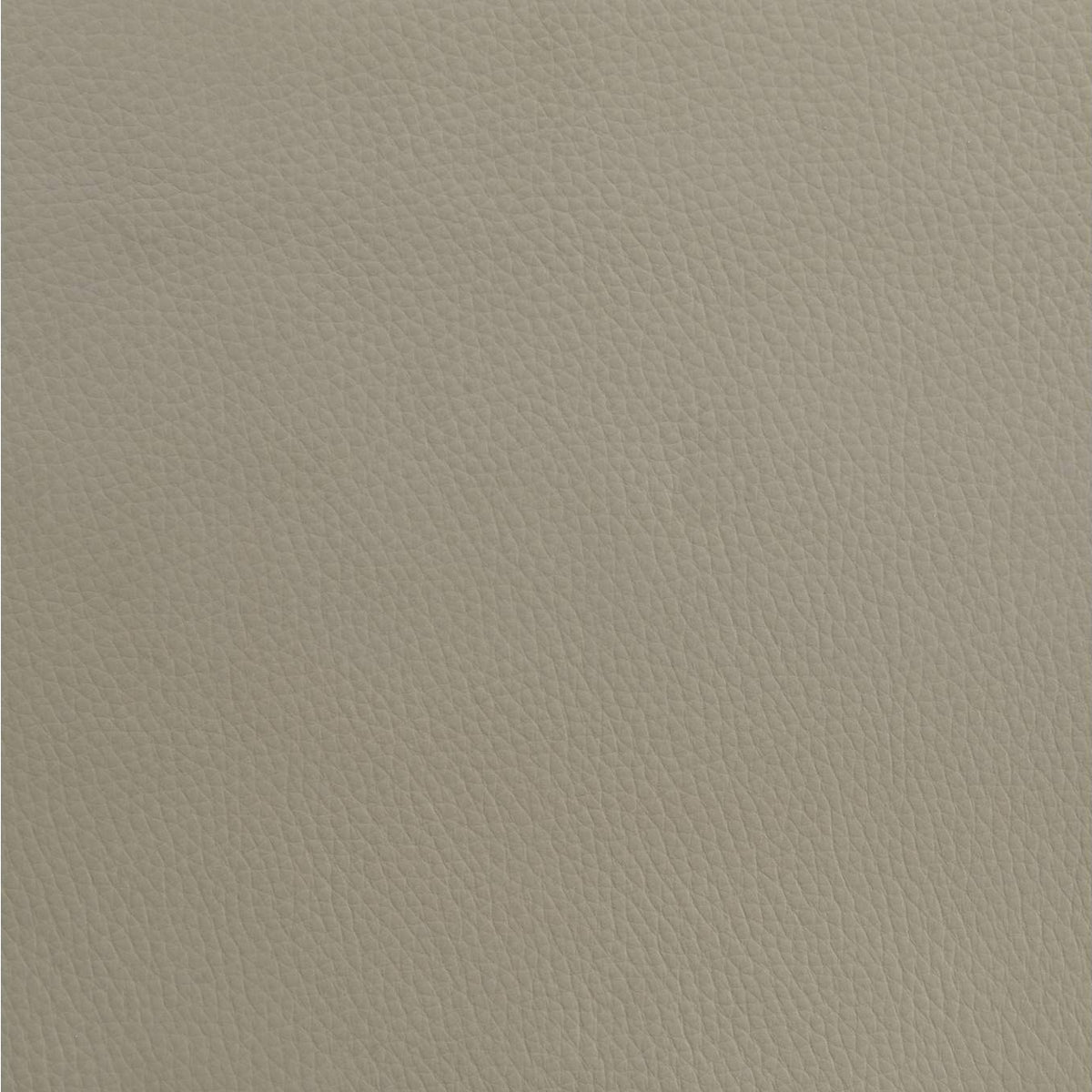315911TANQ Medley Genuine Leather Queen Panel Platform Bed Tan