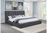 315948GRYQ Dreux Upholstered Queen Panel Platform Bed Grey