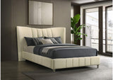 315956Q Evelyn Upholstered Queen Panel Platform Bed Ivory