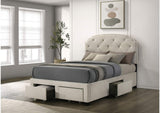 316011F Marianna 4-drawer Upholstered Full Storage Bed Cream