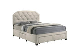 316011Q Marianna 4-drawer Upholstered Queen Storage Bed Cream
