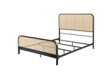 360250Q Lanewood Open Cane Webbing Metal Queen Bed Black