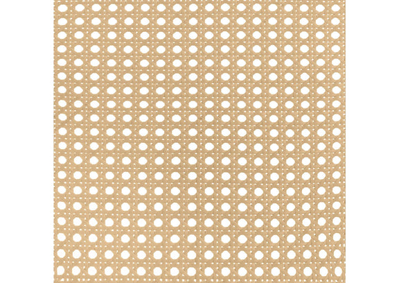 360251KE Lanewood Open Cane Webbing Metal Eastern King Bed White