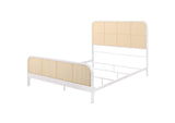 360251Q Lanewood Open Cane Webbing Metal Queen Bed White