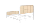 360251Q Lanewood Open Cane Webbing Metal Queen Bed White