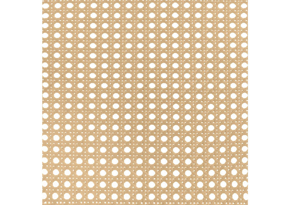 360251Q Lanewood Open Cane Webbing Metal Queen Bed White