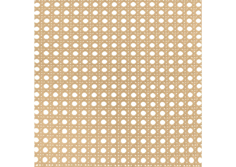 360251Q Lanewood Open Cane Webbing Metal Queen Bed White