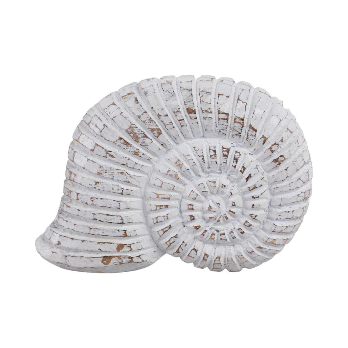 9" Wooden Snail Decor - White