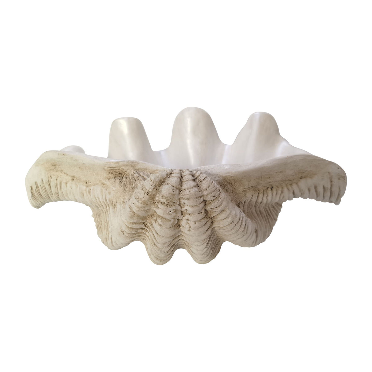 16" Pearlized Clam Shell Bowl - Ivory