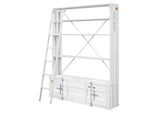 39882 Cargo Bookcase with Ladder