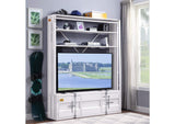 39882 Cargo Bookcase with Ladder