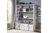 39882 Cargo Bookcase with Ladder