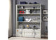 39882 Cargo Bookcase with Ladder
