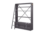 39887 Cargo Bookcase with Ladder