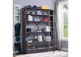 39887 Cargo Bookcase with Ladder