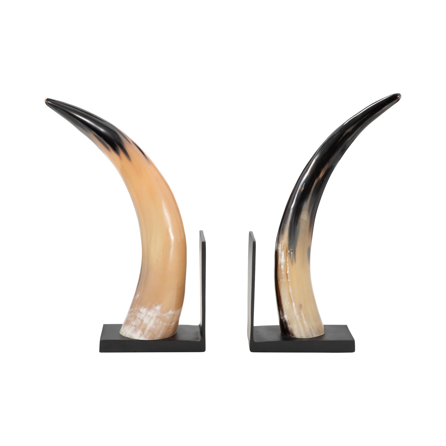 14" Gamil Horn Bookends (Set of 2) - Black