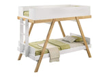 460570T-SM Frankie Twin Over Twin Bunk Bed with 7-inch Mattresses White