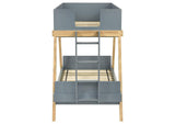 460572T Frankie Wood Twin Over Twin Bunk Bed Blue and Natural