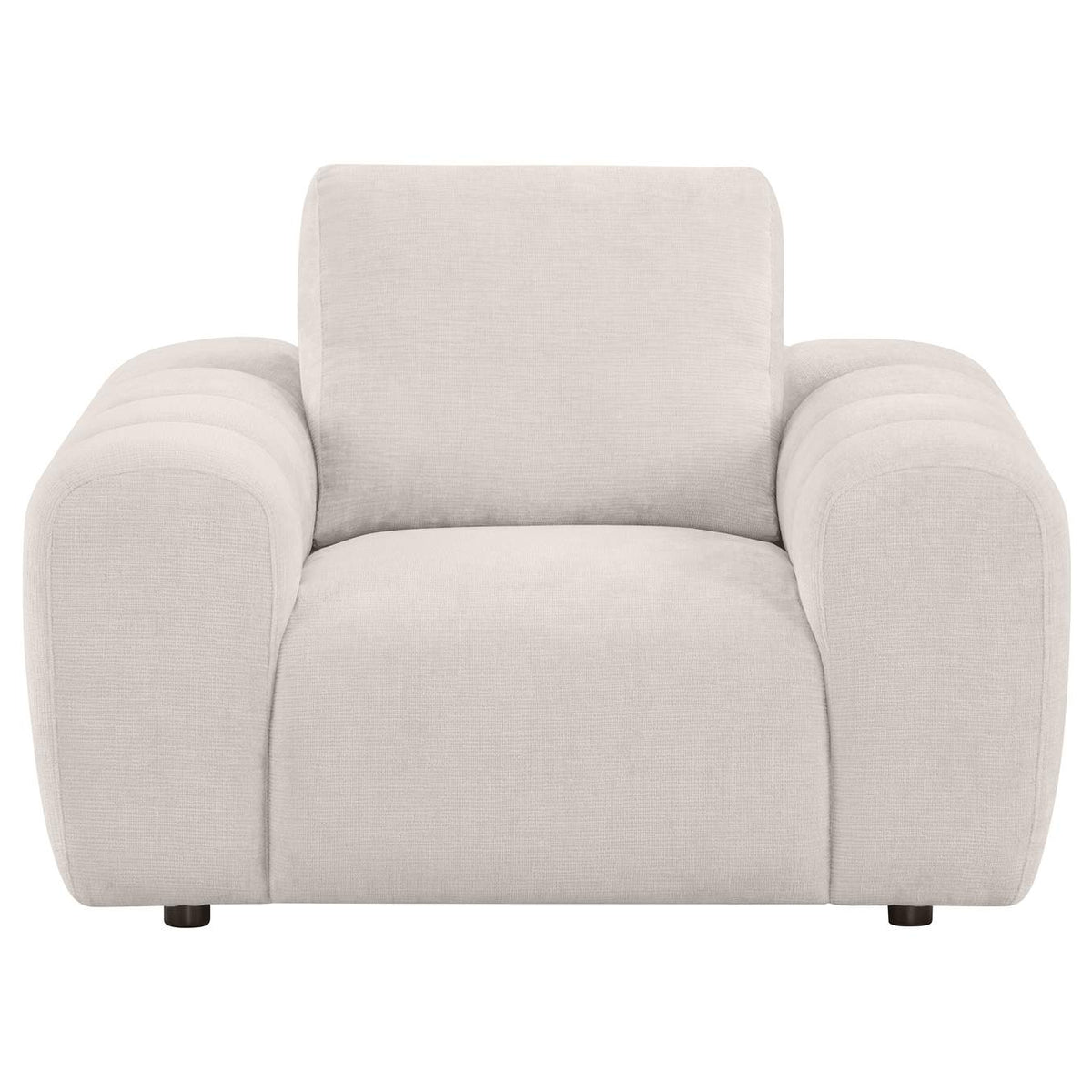504957 Burnett Chenille Upholstered Accent Chair Ivory