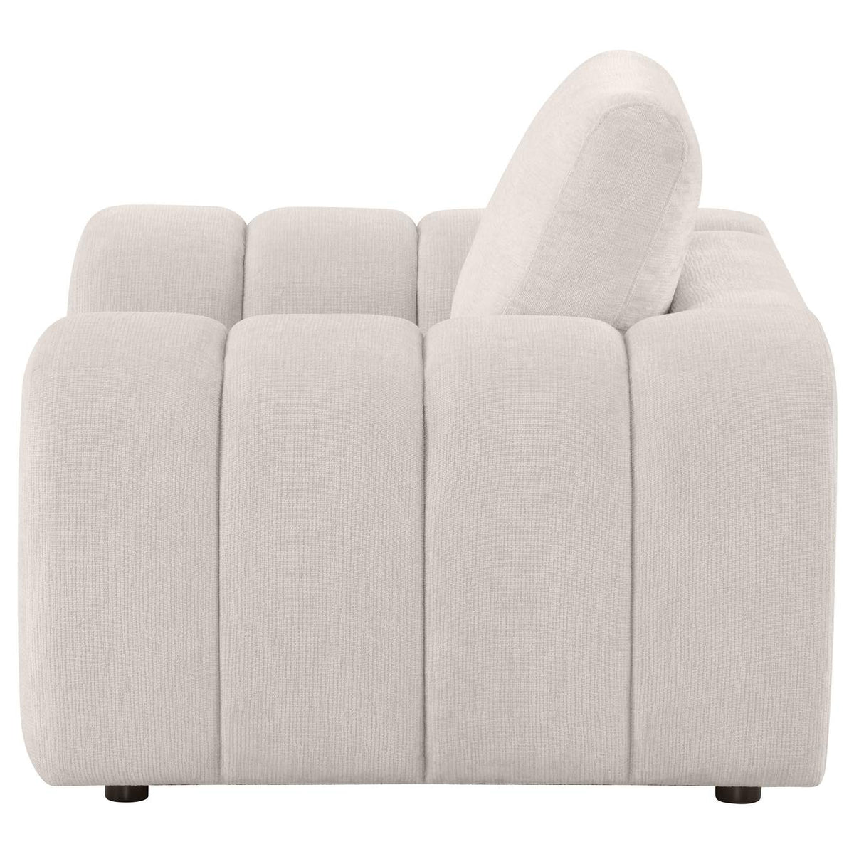 504957 Burnett Chenille Upholstered Accent Chair Ivory