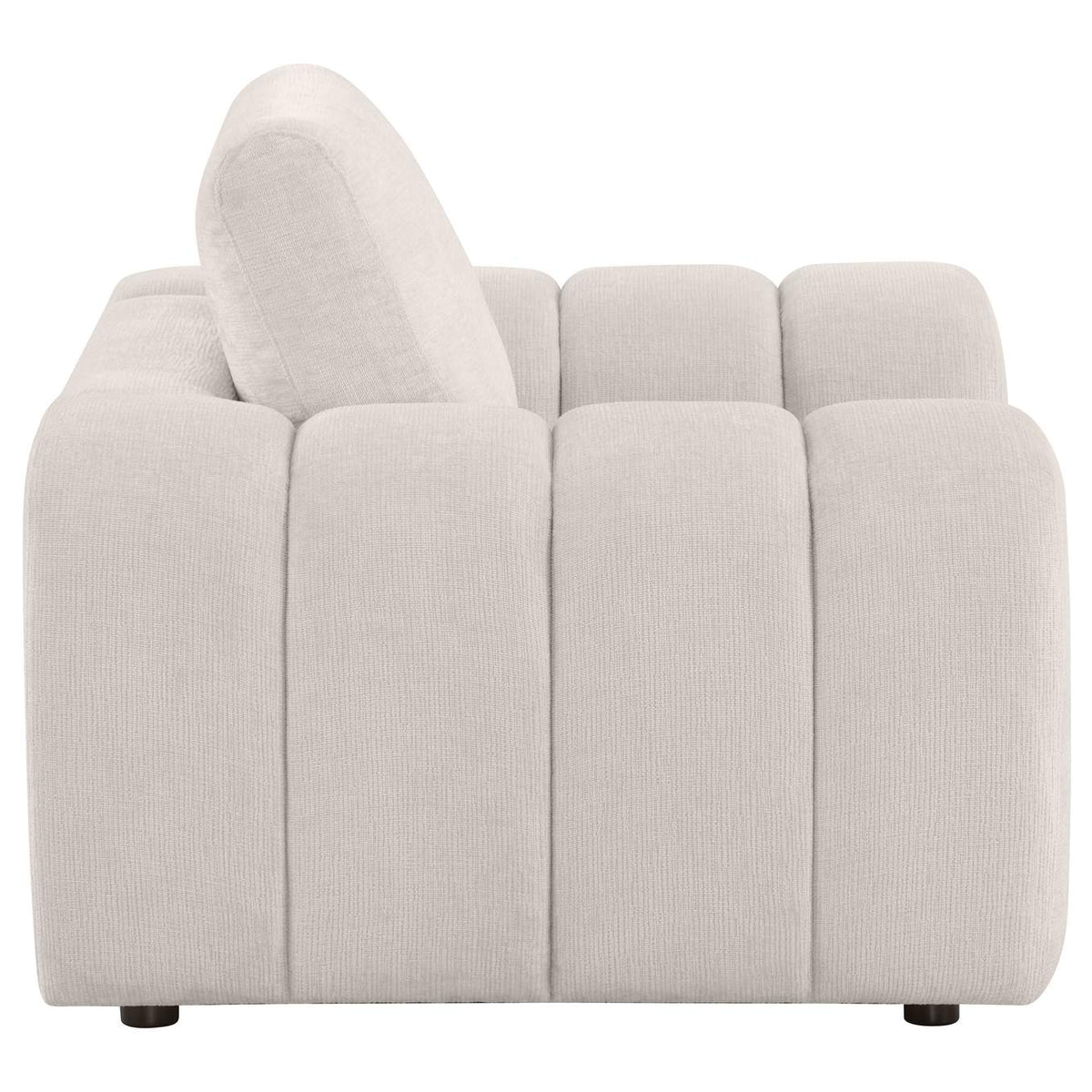 504957 Burnett Chenille Upholstered Accent Chair Ivory