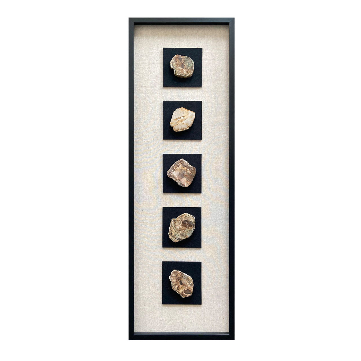 16" x 47" Jensen Petrified Stone Shadow Box Wall Decor - Multi