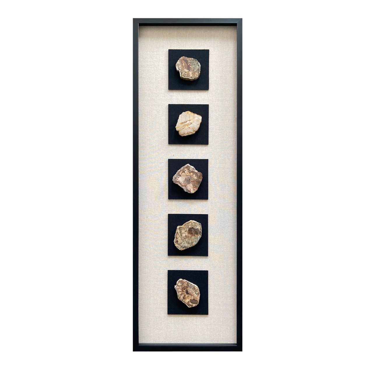 16" x 47" Jensen Petrified Stone Shadow Box Wall Decor - Multi