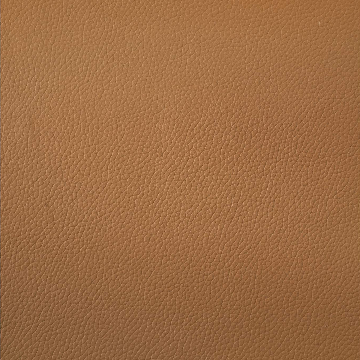 509502 Buxton Top Grain Leather Upholstered Loveseat Orange