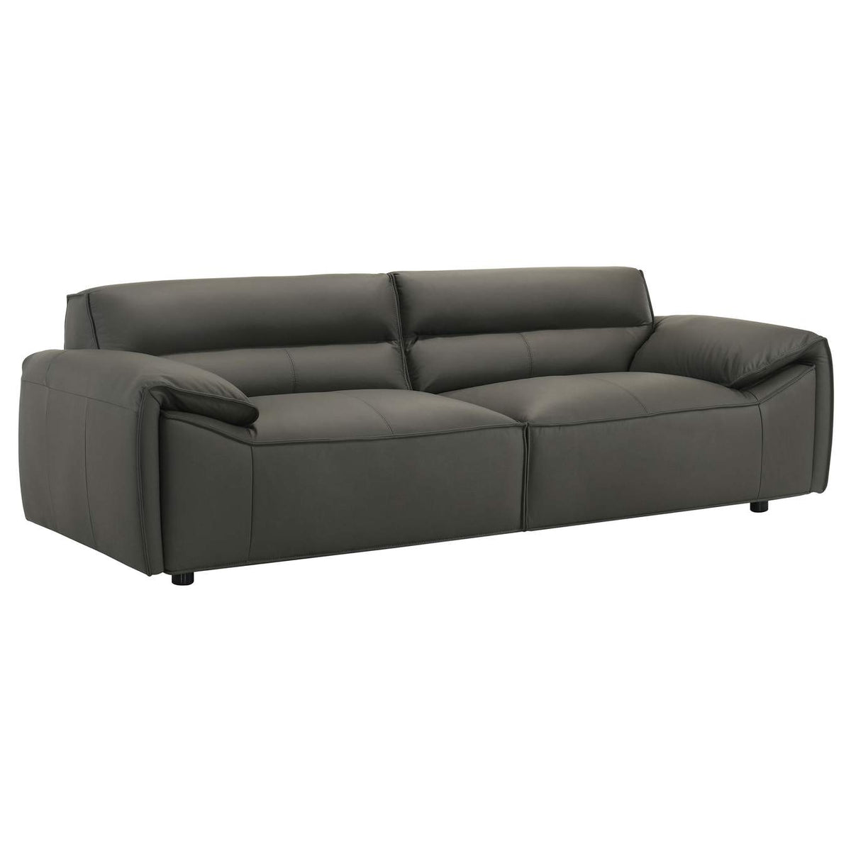 509504-S2 Buxton 2-piece Leather Upholstered Sofa Set Graphite