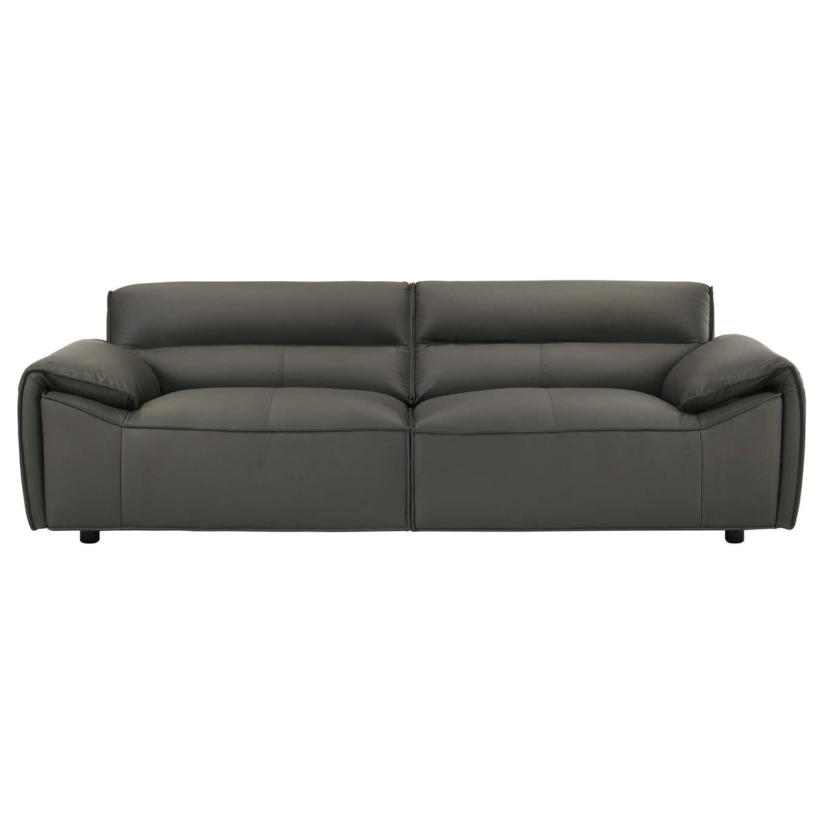 509504-S2 Buxton 2-piece Leather Upholstered Sofa Set Graphite