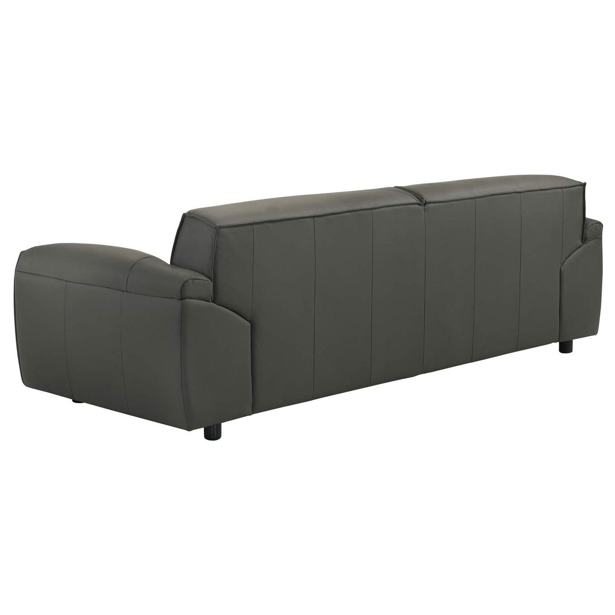 509504-S2 Buxton 2-piece Leather Upholstered Sofa Set Graphite