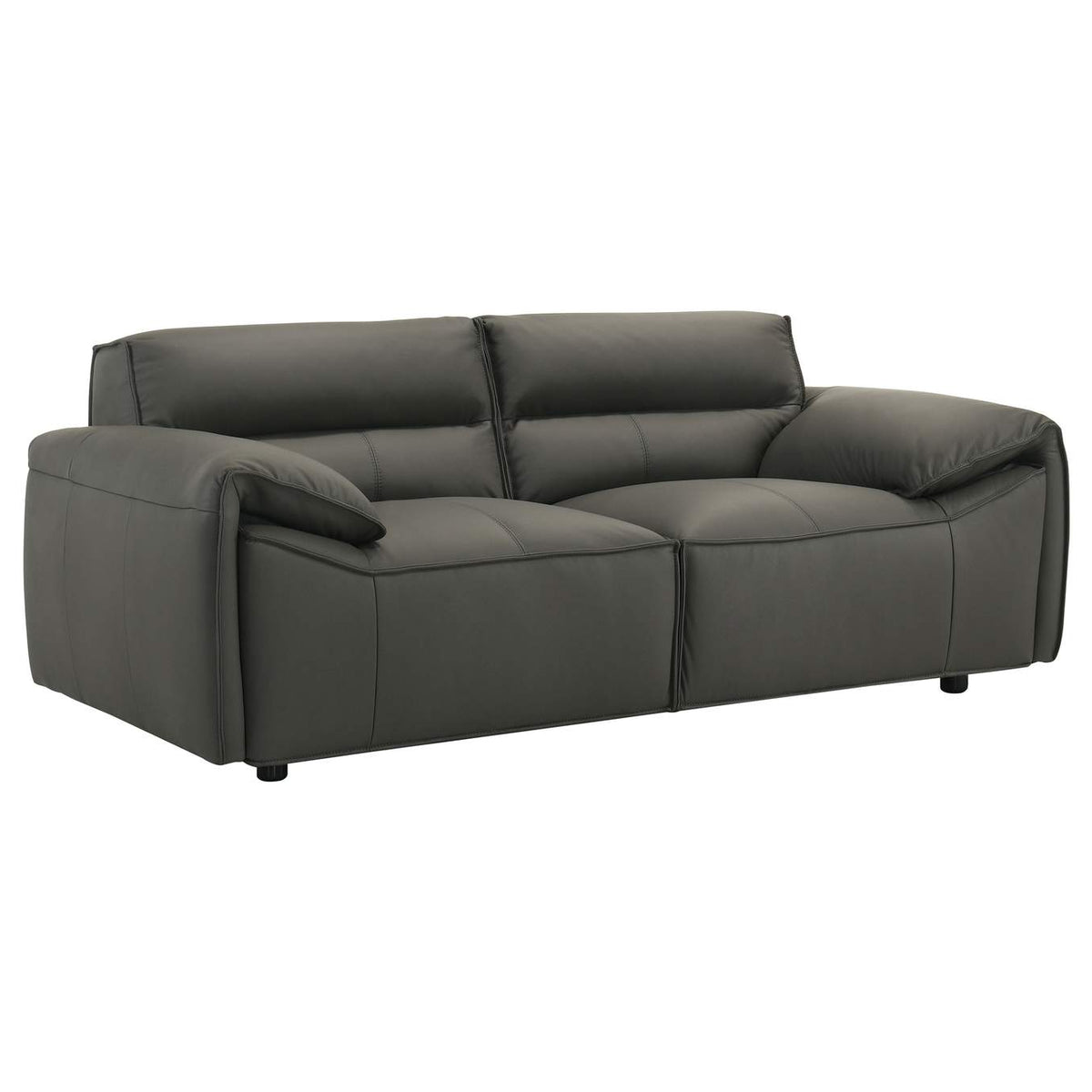 509504-S2 Buxton 2-piece Leather Upholstered Sofa Set Graphite