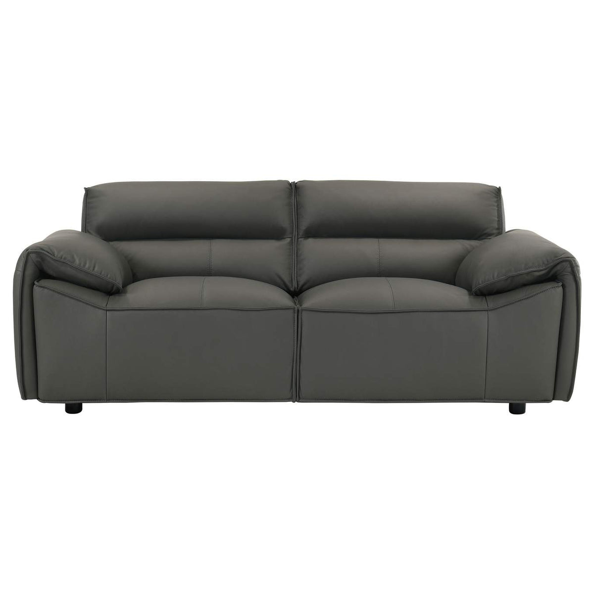 509504-S2 Buxton 2-piece Leather Upholstered Sofa Set Graphite