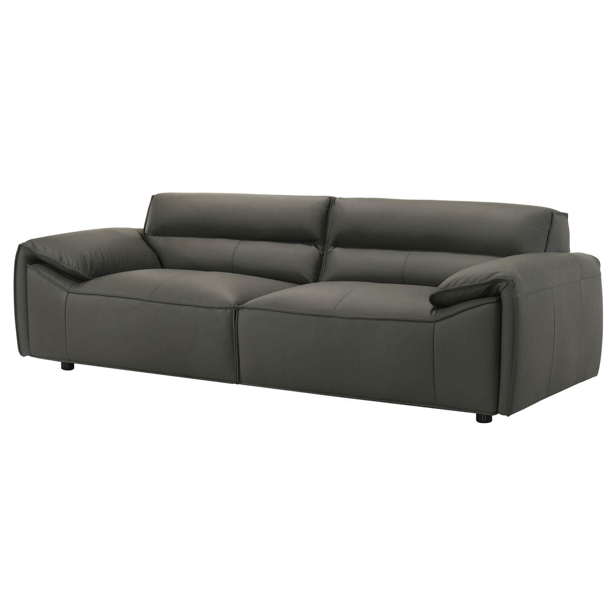509504 Buxton Top Grain Leather Upholstered Sofa Graphite