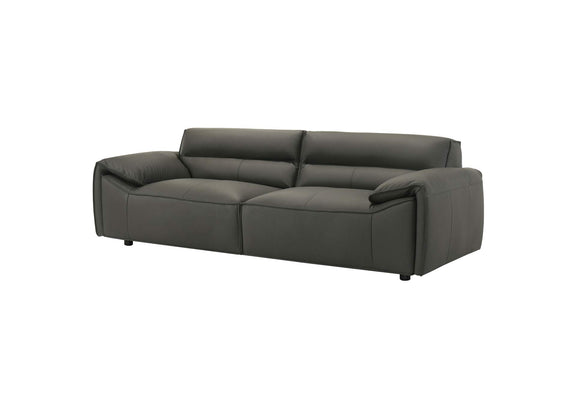 509504 Buxton Top Grain Leather Upholstered Sofa Graphite