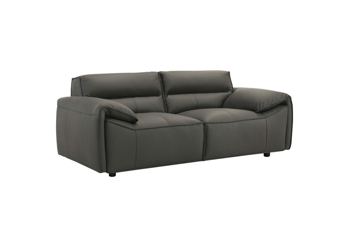 509505 Buxton Top Grain Leather Upholstered Loveseat Graphite