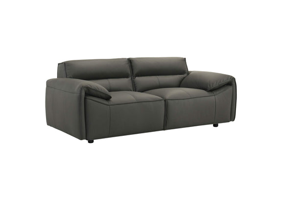 509505 Buxton Top Grain Leather Upholstered Loveseat Graphite