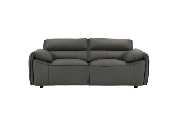 509505 Buxton Top Grain Leather Upholstered Loveseat Graphite