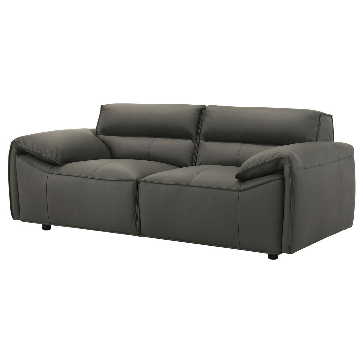 509505 Buxton Top Grain Leather Upholstered Loveseat Graphite
