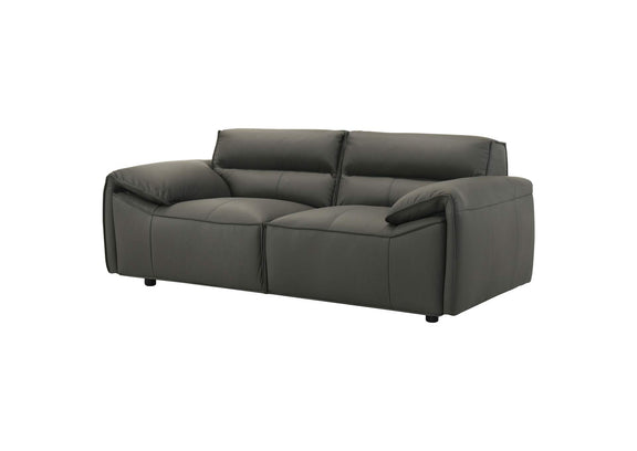 509505 Buxton Top Grain Leather Upholstered Loveseat Graphite