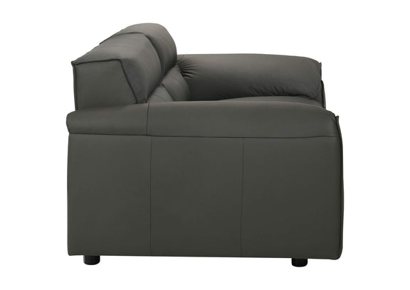 509505 Buxton Top Grain Leather Upholstered Loveseat Graphite