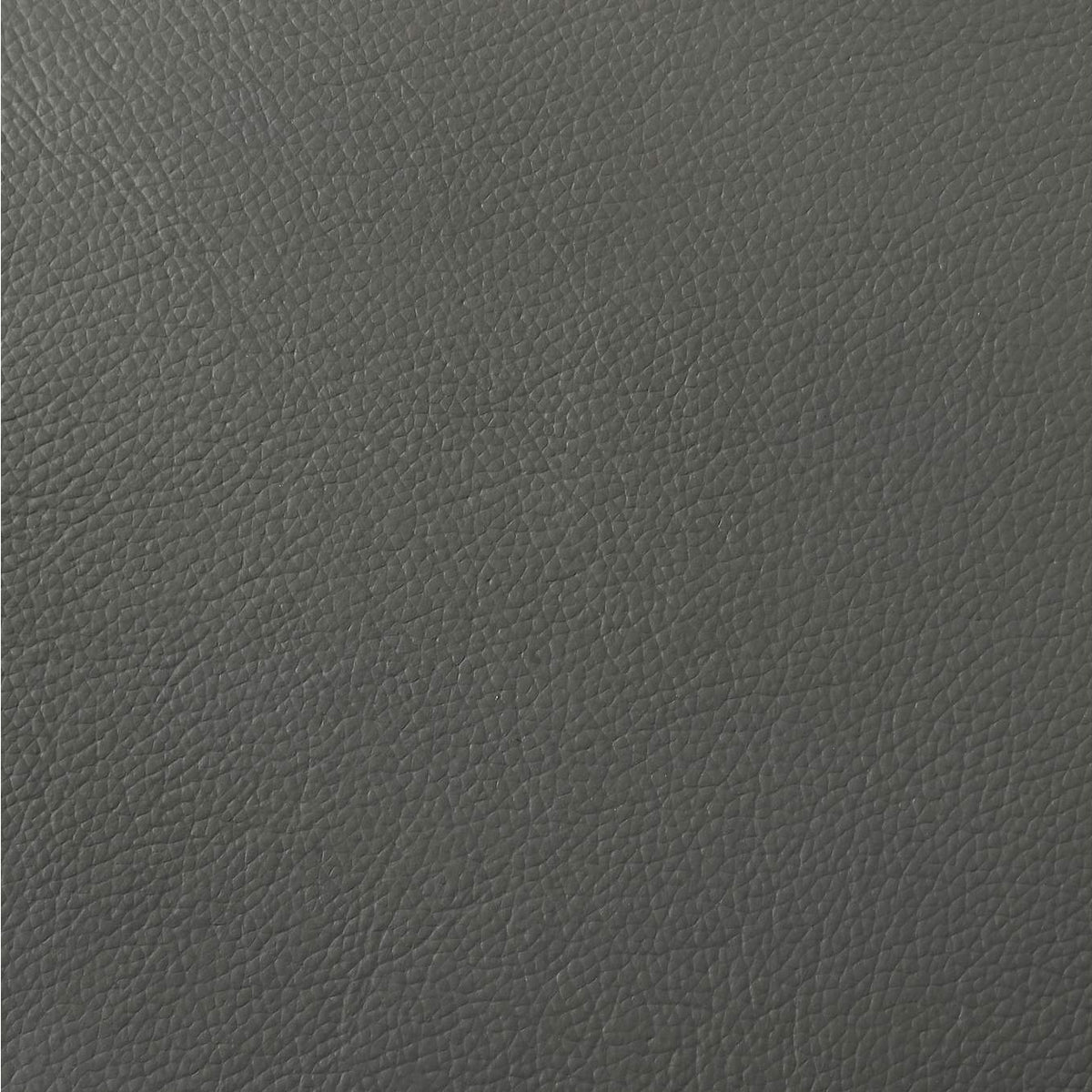 509505 Buxton Top Grain Leather Upholstered Loveseat Graphite