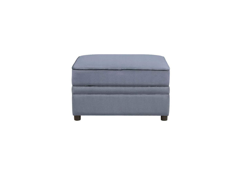 53307 Bois Ii Ottoman with Storage