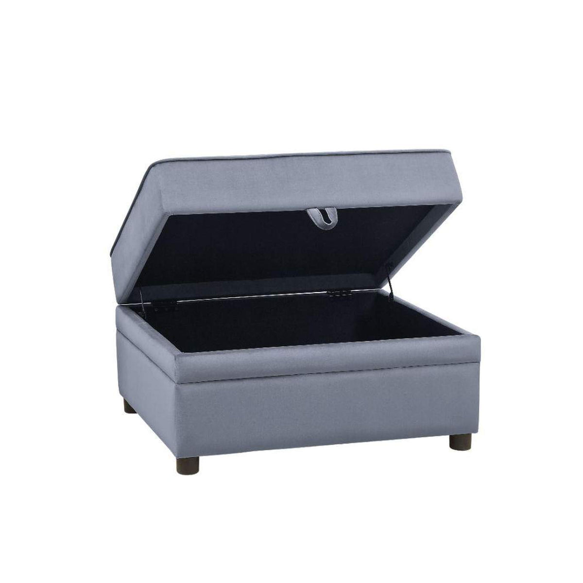 53307 Bois Ii Ottoman with Storage