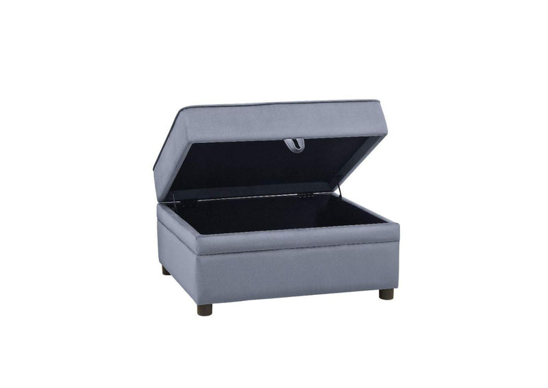 53307 Bois Ii Ottoman with Storage