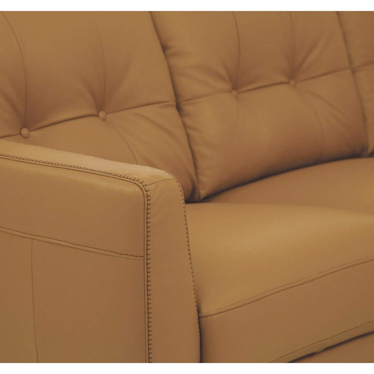 54955 Radwan Sofa