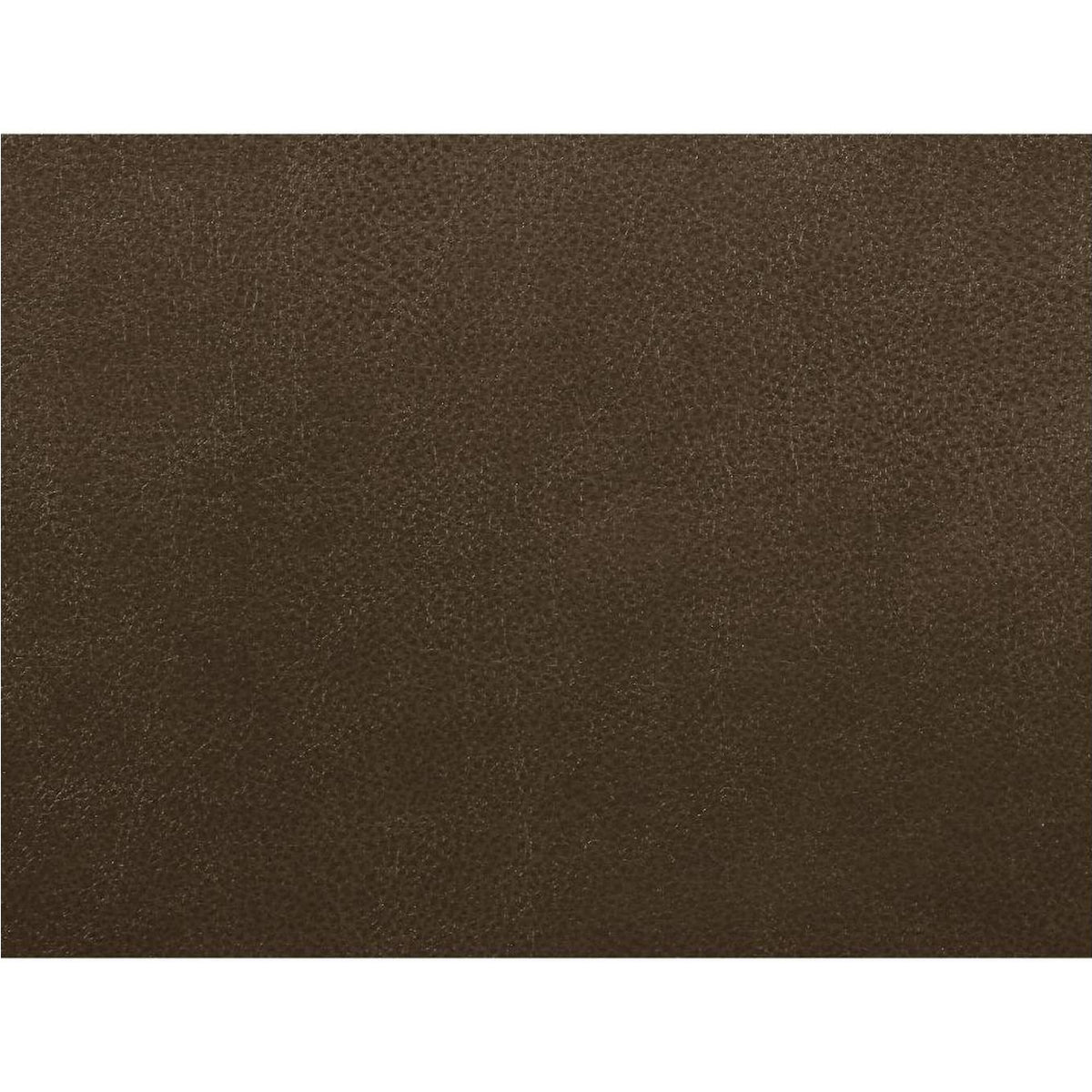 55420 Aashi Motion Sofa