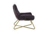 59666 Dhalsim Accent Chair