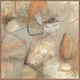 Ochre I - 48" x 48" Painting By Buddy Whitlock - Walnut