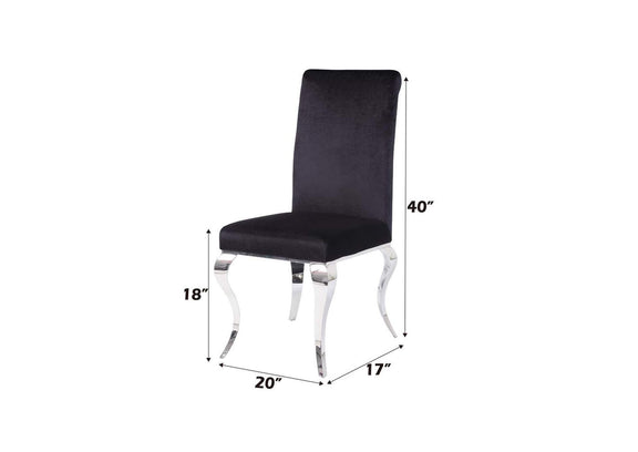 62072 Fabiola Side Chair - Set of 2